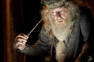 dumbledoreandpensieve.jpg